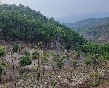 5.6 bigha agriculture land for sale  in thano range rishikesh