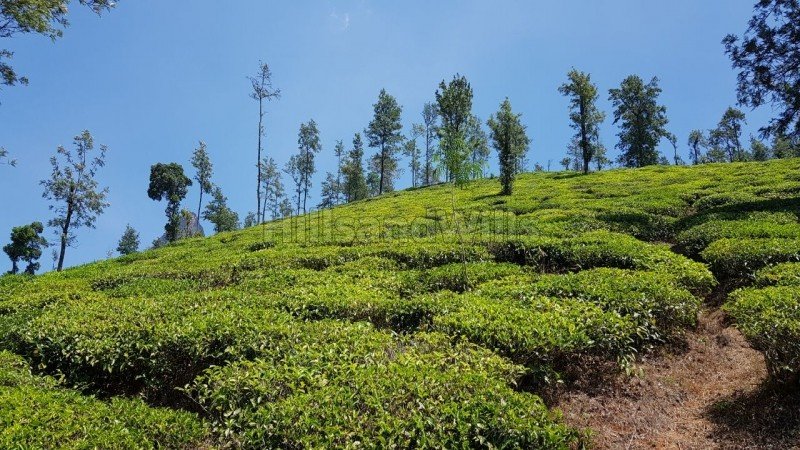 ₹1.35 Cr | 35 cents residential plot for sale in ulhatty ooty