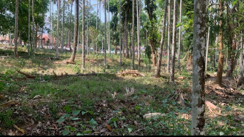 ₹80 Lac | 2.5 acres residential plot for sale in muthanga wayanad