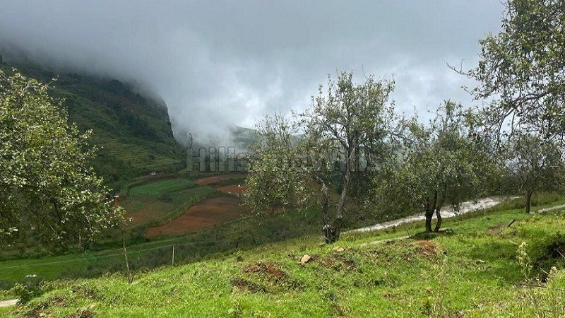 ₹1.19 Cr | 10900 sq.ft.  palani temple view gated community residential plot for sale in vilpatti kodaikanal