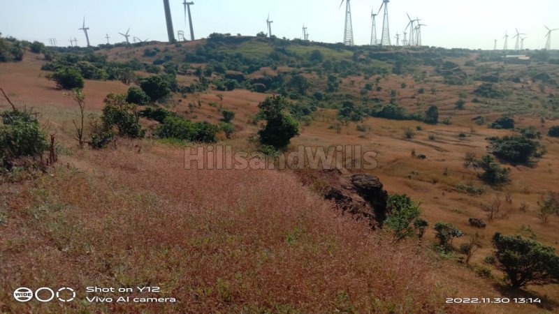 ₹96 Lac | 16 acres agriculture land for sale  in gavdewadi new mahabaleshwar