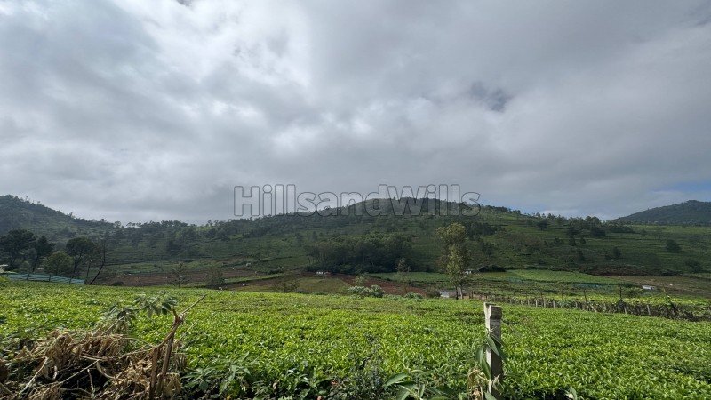 ₹90 Lac | 22.5 cents residential plot for sale in keircombai near kotagiri