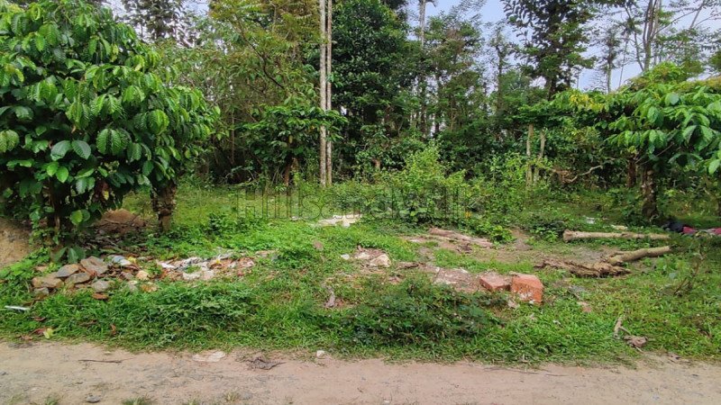 ₹54 Lac | 30 cents residential plot for sale in manivayal wayanad