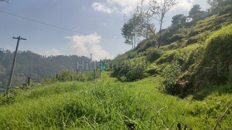 ₹5.50 Cr | 1.5 acres agriculture land for sale in vilpatti kodaikanal