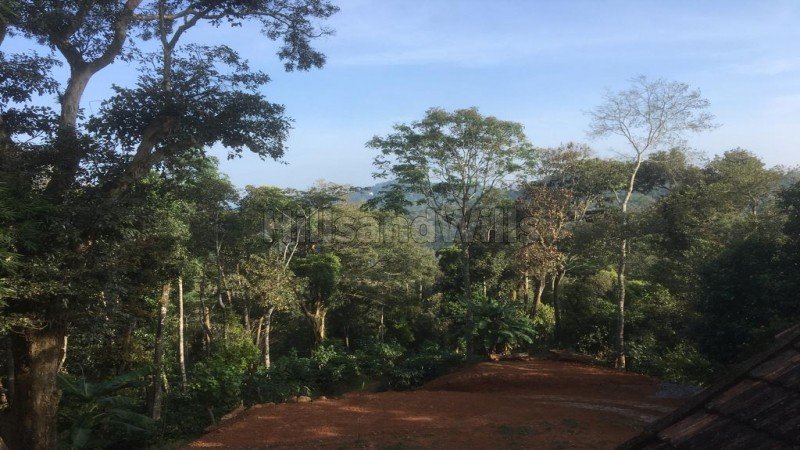 30 acres coffee estate for sale in madikeri taluk coorg