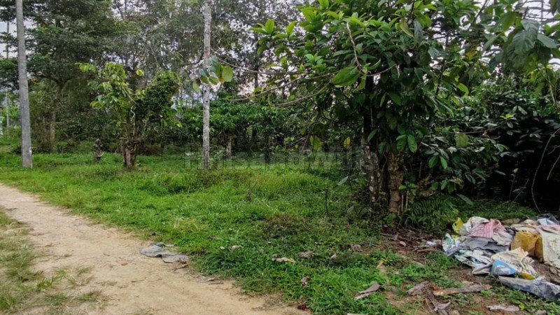 ₹54 Lac | 30 cents residential plot for sale in manivayal wayanad