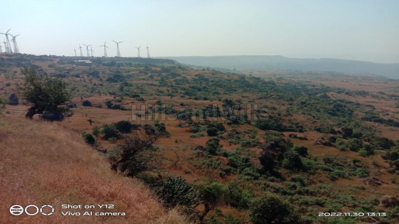 ₹96 Lac | 16 acres agriculture land for sale  in gavdewadi new mahabaleshwar