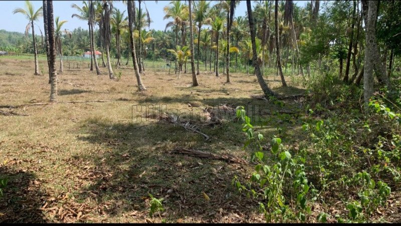 ₹80 Lac | 2.5 acres residential plot for sale in muthanga wayanad