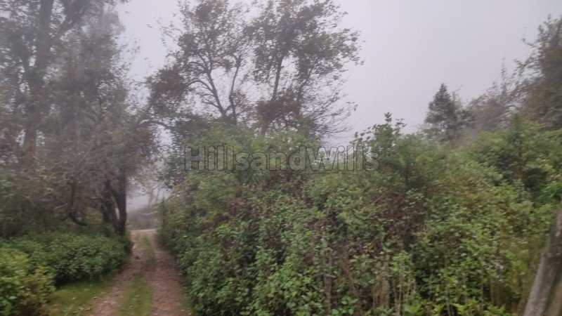 ₹1.50 Cr | 30 cents residential plot for sale in pudukadu kodaikanal