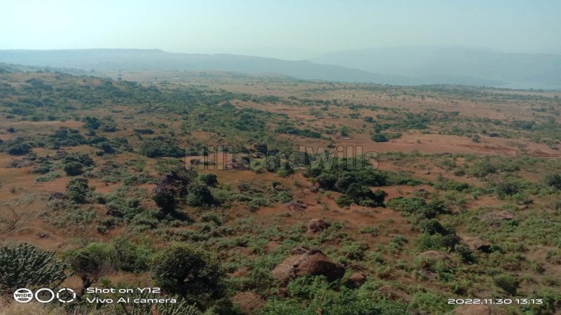 ₹96 Lac | 16 acres agriculture land for sale  in gavdewadi new mahabaleshwar