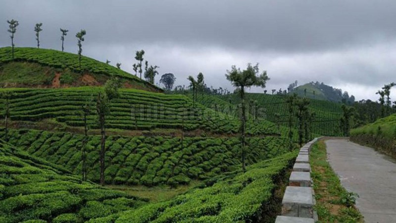 725 acres tea estate for sale in valparai