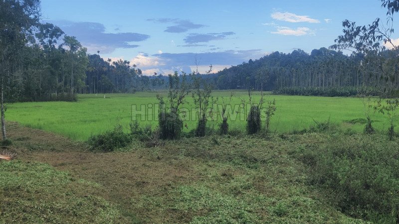 ₹90 Lac | 72 cents residential plot for sale in panamaram wayanad