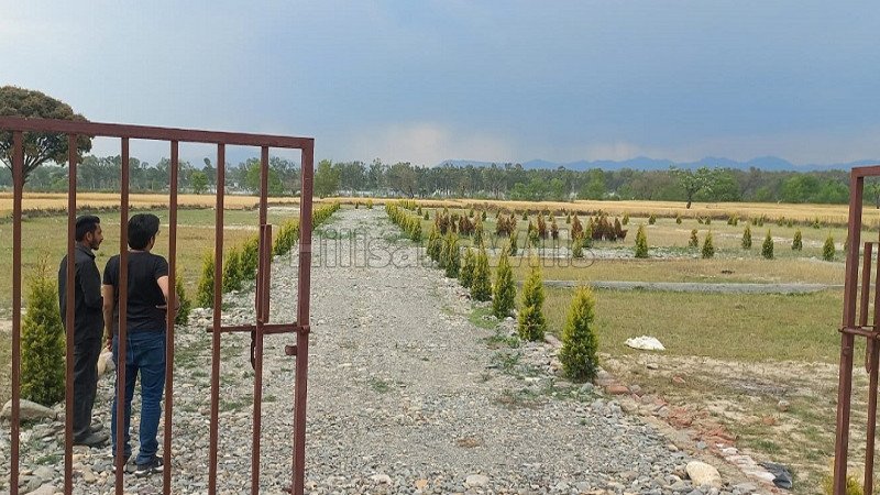 ₹12.75 Lac | 1050 sq.ft. residential plot for sale in rajawala, central hope town dehradun