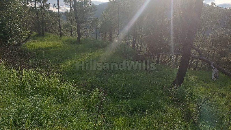 ₹50 Lac | 10800 sq.ft. commerical land for sale in almora near nainital