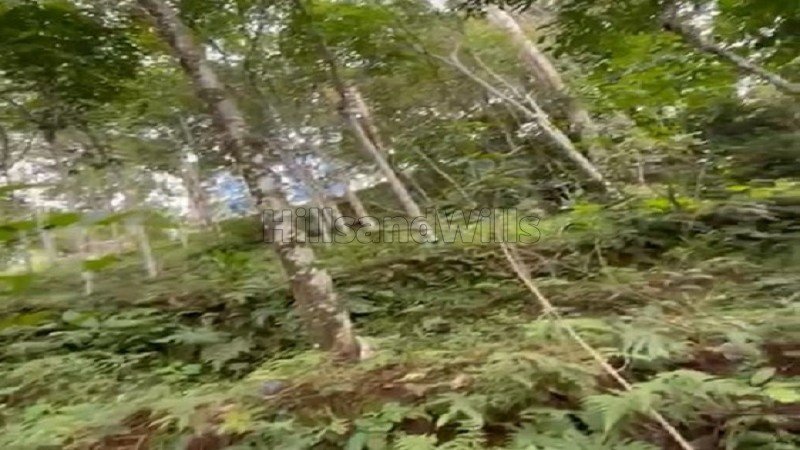 ₹40 Lac | 82 cents rubber estate for sale in vanchikavala idukki