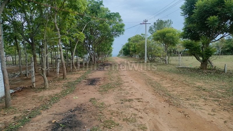 ₹15 Lac | 25 cents residential plot for sale in thalavadi near nilgiris