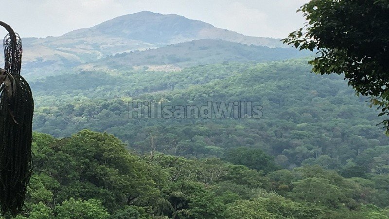 ₹8.40 Cr | 30 acres coffee estate for sale in madikeri taluk coorg