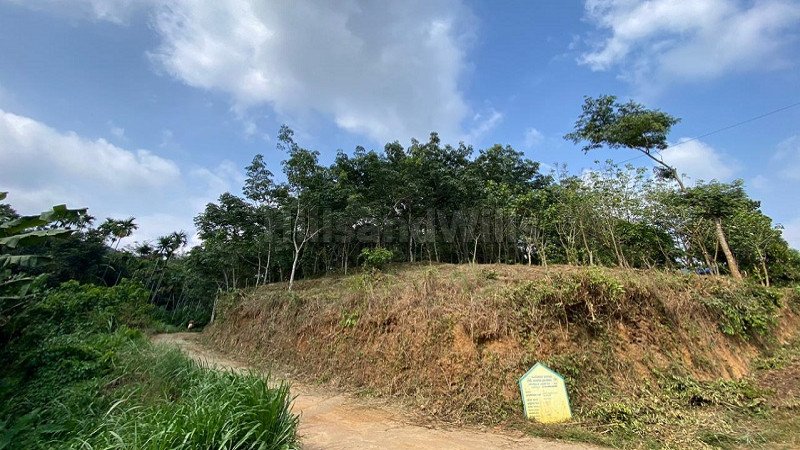 ₹32.80 Lac | 82 cents residential plot for sale in varayal wayanad