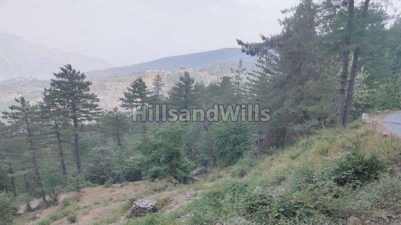 ₹80 Lac | 1.5 bigha  agriculture land suitable for apple orchard for sale in fagu shimla