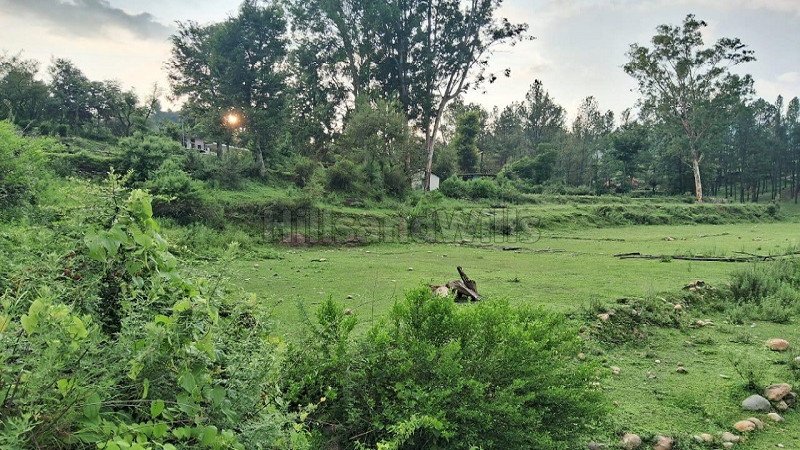 ₹52 Lac | 11000 sq.ft. residential plot for sale in kosi, almora near nainital