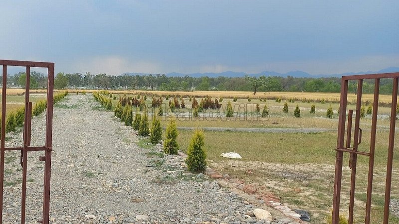 ₹12.75 Lac | 1050 sq.ft. residential plot for sale in rajawala, central hope town dehradun