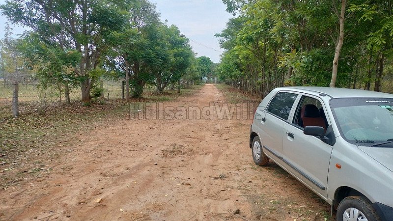 ₹15 Lac | 25 cents residential plot for sale in thalavadi near nilgiris