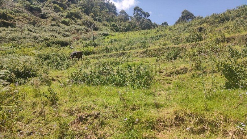 ₹30 Lac | 5 cents residential plot for sale in prakasapuram kodaikanal