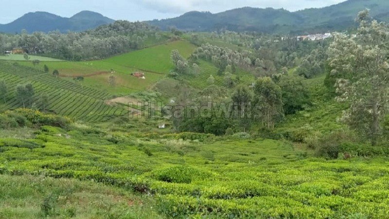 ₹1.29 Cr | 37 cents residential plot for sale in coonoor