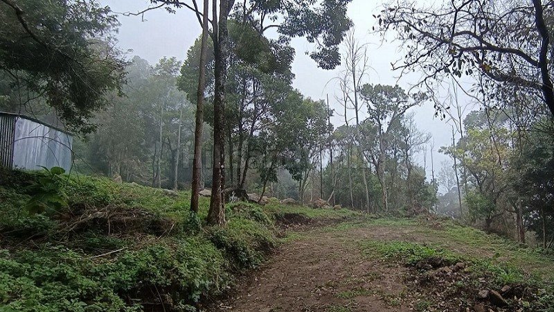 ₹36 Lac | 12 cents  gated community plot for sale  in pethuparai kodaikanal