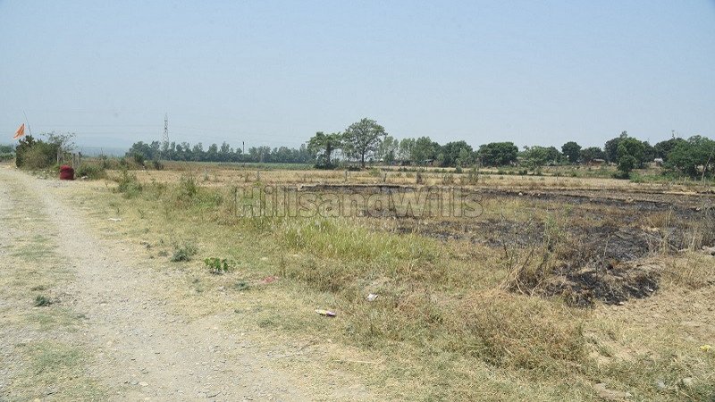 ₹20 Lac | 125 sq.yards residential plot for sale in sahaspur chakrata road dehradun