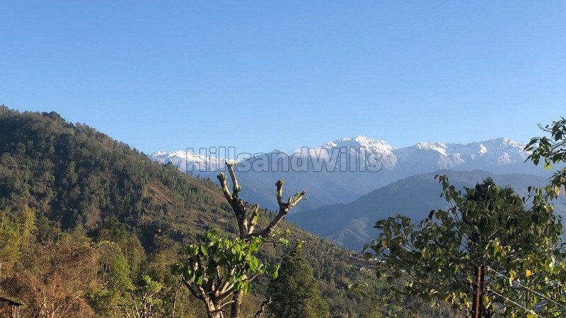 ₹70 Lac | 1 acres agriculture land for sale in kalimpong darjeeling