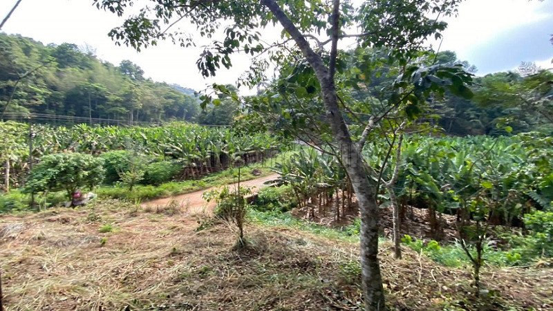 ₹32.80 Lac | 82 cents residential plot for sale in varayal wayanad