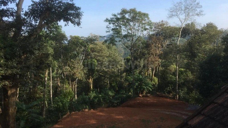 ₹8.40 Cr | 30 acres coffee estate for sale in madikeri taluk coorg