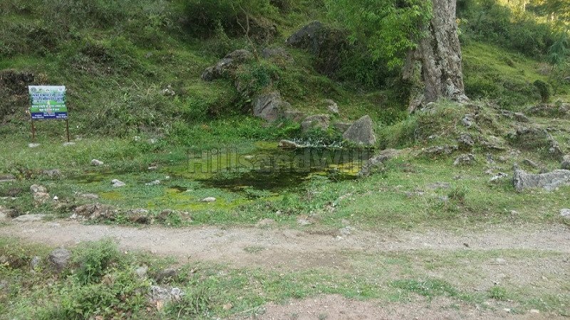 ₹52.80 Lac | 7.14 bigha commerical land for lease  in dehun ghat, saproon, solan