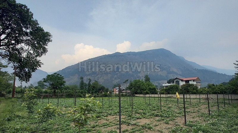 ₹6.50 Lac | 27 biswa agriculture land for sale in bhuntar kullu-manali