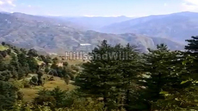 ₹80 Lac | 1.5 bigha  agriculture land suitable for apple orchard for sale in fagu shimla