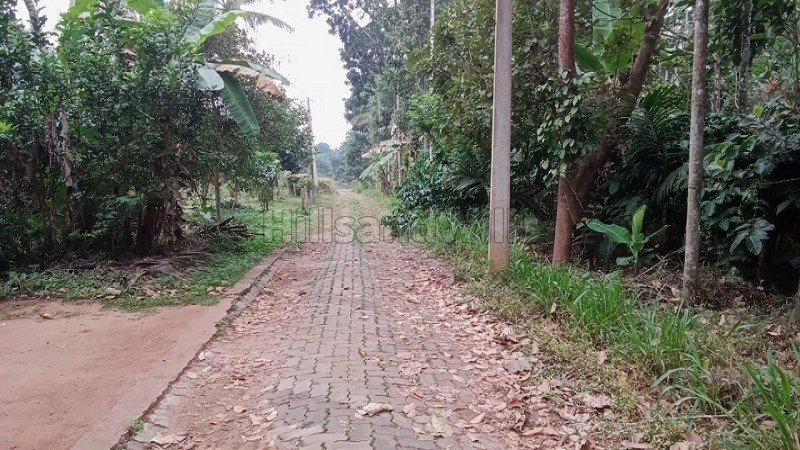 ₹60 Lac | 20 cents residential plot for sale in pulpally wayanad