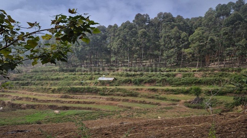 ₹85 Lac | 2.15 acres  panoramic view agriculture land for sale  in poombarai kodaikanal