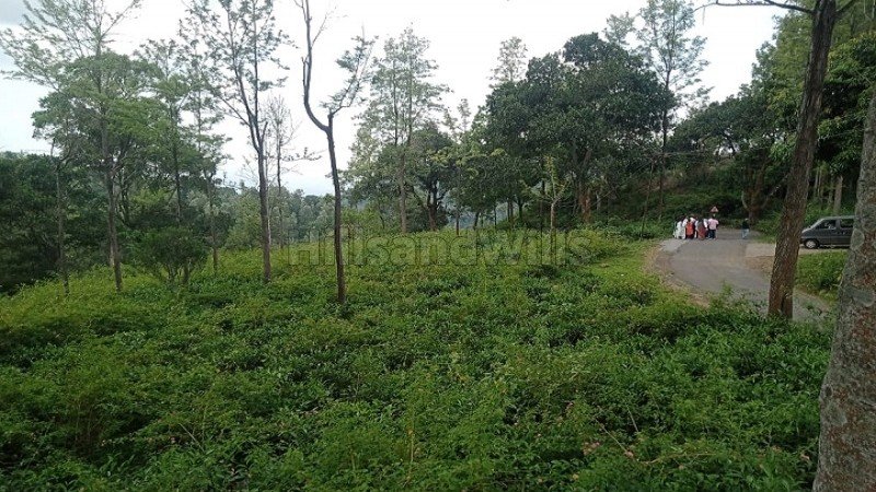 ₹78.75 Cr | 525 acres tea & coffee estate with sandal wood trees for sale in kotagiri