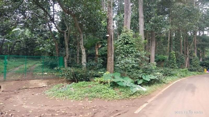 ₹15 Cr | 10 acres coffee estate for sale in pattipadi yercaud