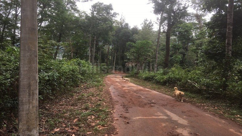 ₹4 Cr | 14.7 acres estate with traditional house for sale in madikeri coorg