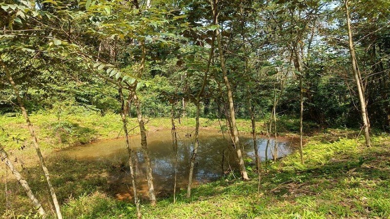 ₹4.40 Cr | 14.5 acres coffee estate with bungalow for sale in madikeri coorg