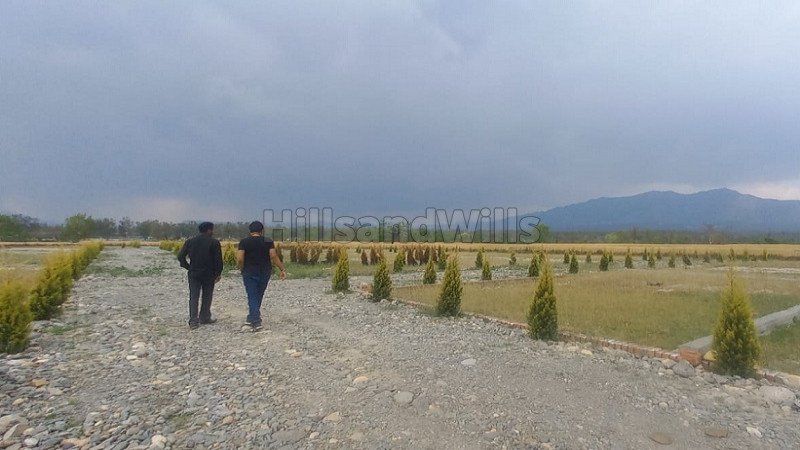 ₹12.75 Lac | 1050 sq.ft. residential plot for sale in rajawala, central hope town dehradun