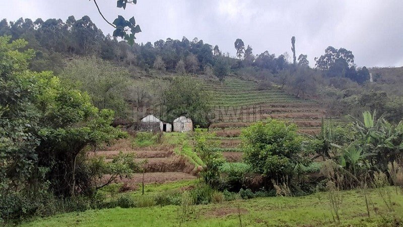 ₹16 Cr | 7 acres commerical land for sale  in vilpatti kodaikanal