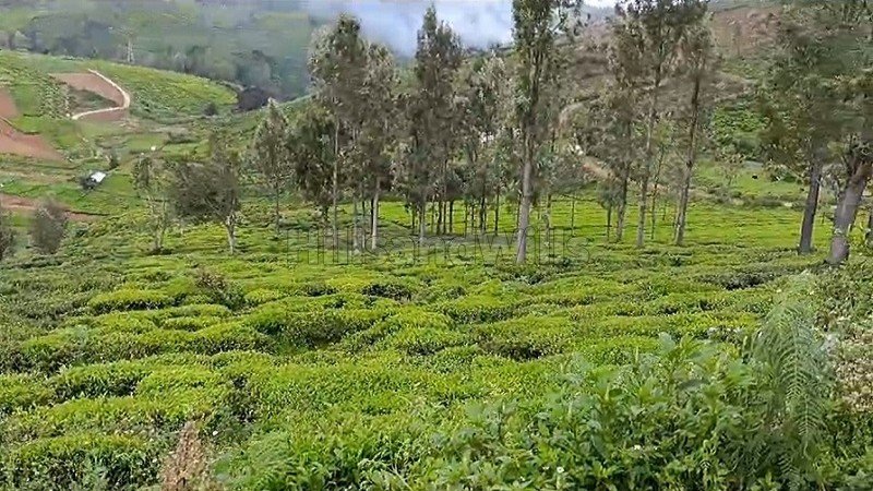 ₹1.64 Cr | 94 cents residential plot for sale in ooty