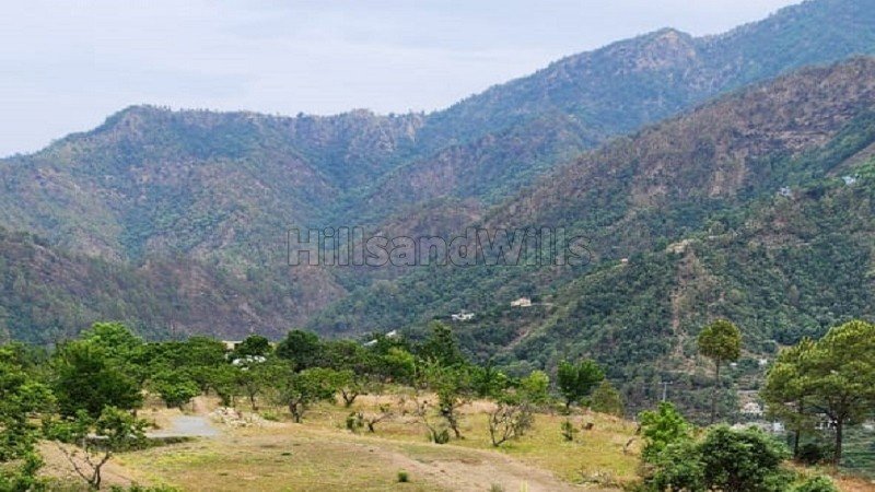 ₹25 Lac | 75 nali commerical land for sale in talla ramgarh near nainital