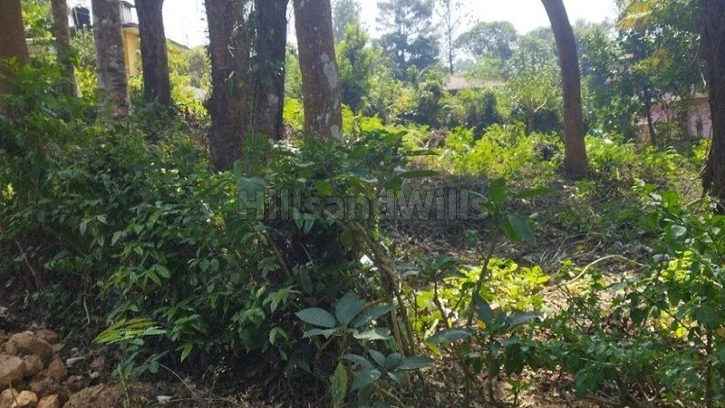 ₹45 Lac | 4580 sq.ft. residential plot for sale  in virajpet coorg