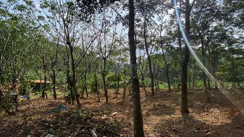 ₹32.80 Lac | 82 cents residential plot for sale in varayal wayanad