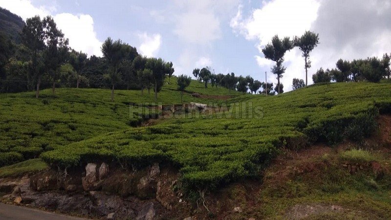 ₹24 Cr | 9.5 acres tea estate for sale  in alakkarai kotagiri