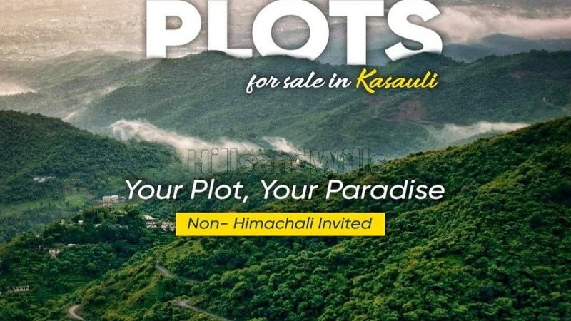 ₹55 Lac | 250 sq.yards residential plot for sale in kasauli solan